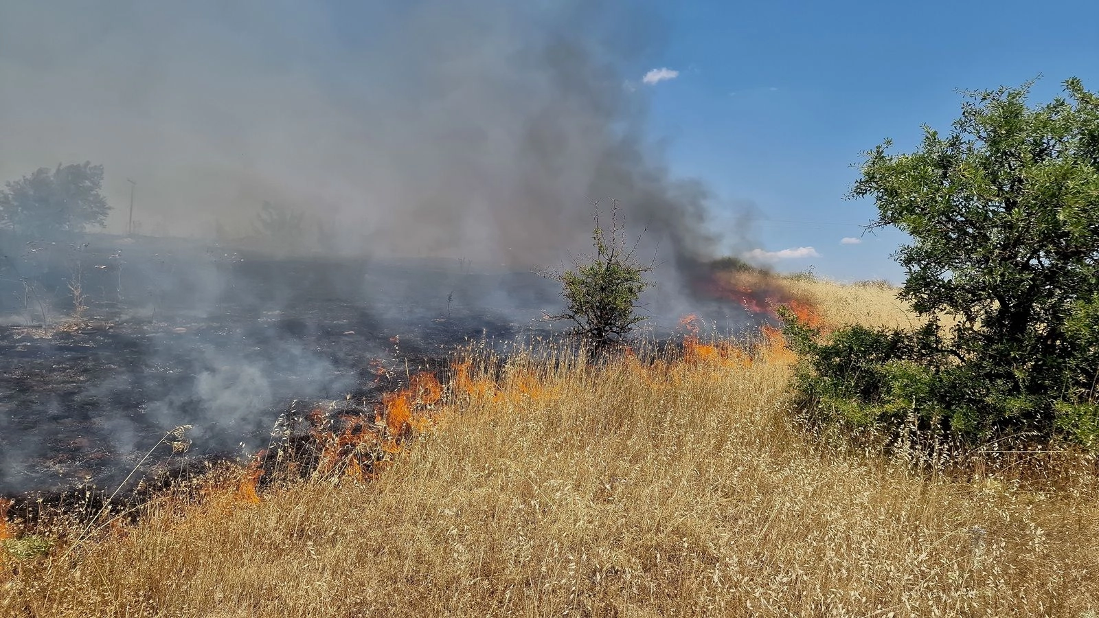 Κοζάνη: Συνελήφθη 75χρονος που φέρεται να προκάλεσε τη φωτιά στο Δρέπανο