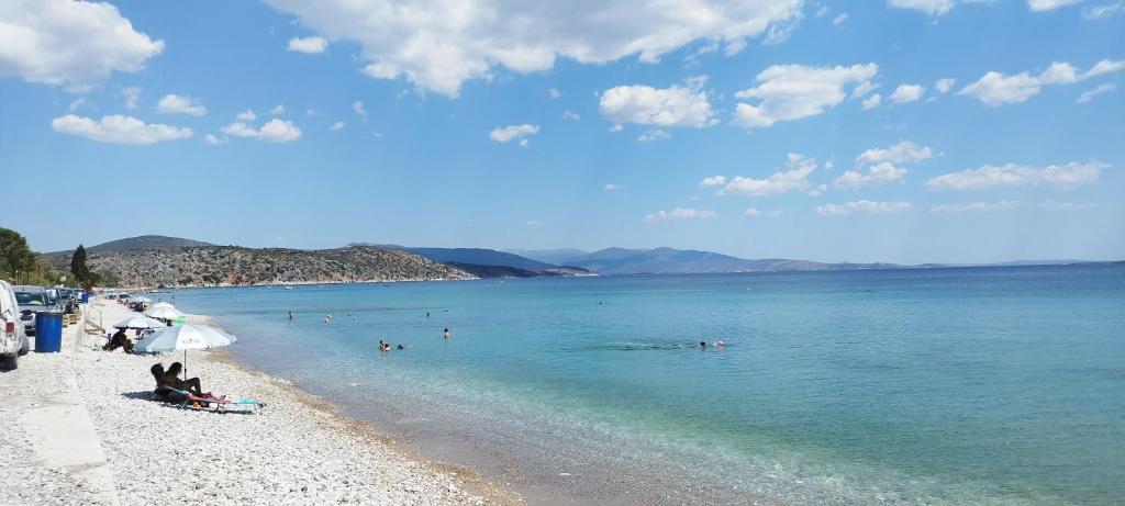 Τραγικό τέλος για μια 78χρονη λουόμενη από το Ναύπλιο: Βρέθηκε νεκρή – Αγνοούνταν από το μεσημέρι της Πέμπτης