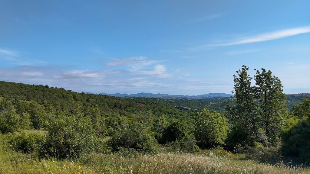 Χαλκιδική: Απαγόρευση κυκλοφορίας αύριο σε δασικές περιοχές του Δήμου Κασσάνδρας
