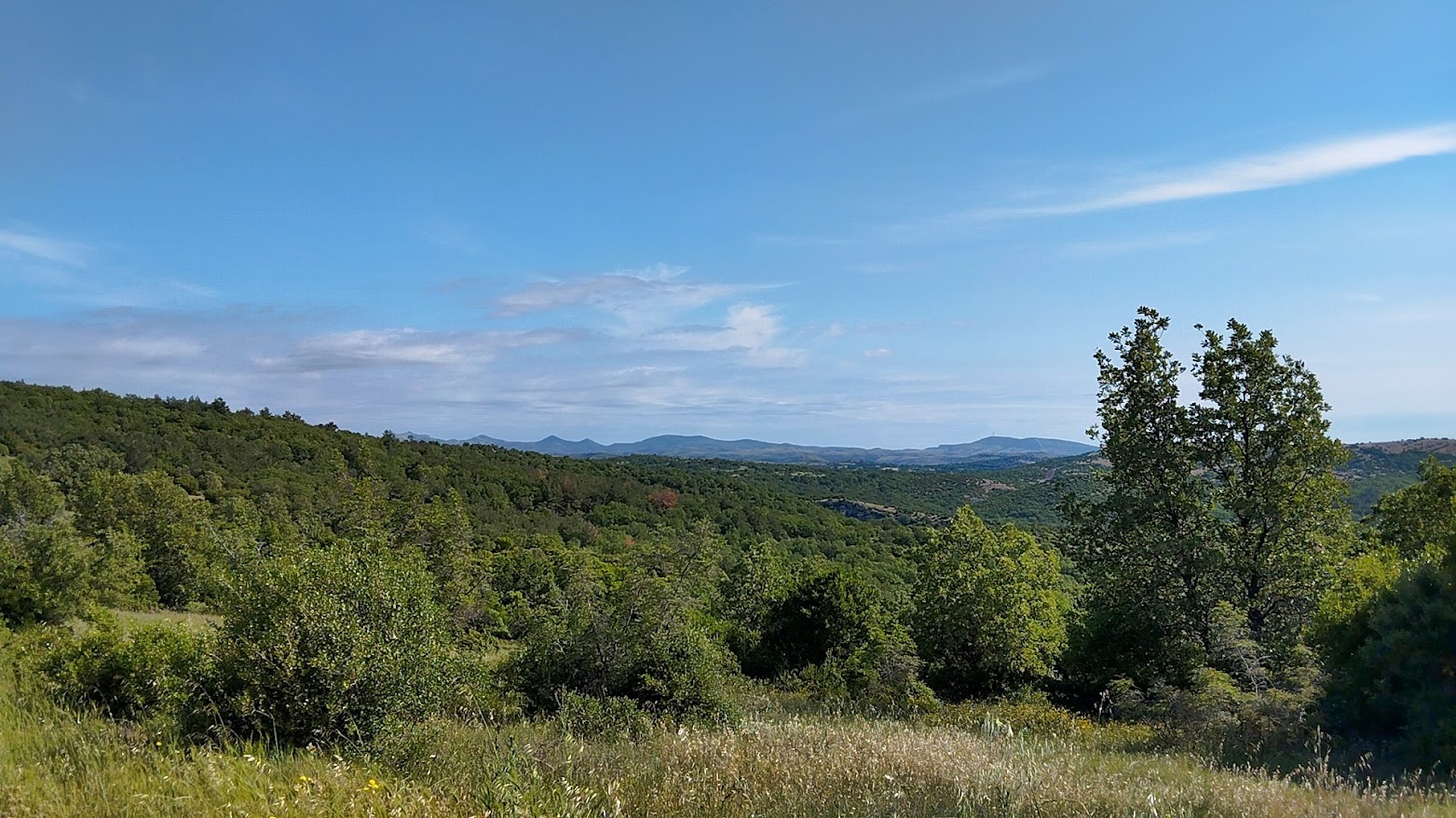 Χαλκιδική: Απαγόρευση κυκλοφορίας αύριο σε δασικές περιοχές του Δήμου Κασσάνδρας