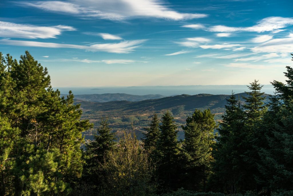 Χαλκιδική: Aπαγόρευση κυκλοφορίας αύριο σε περιοχές του δήμου Κασσάνδρας λόγω κινδύνου πυρκαγιάς