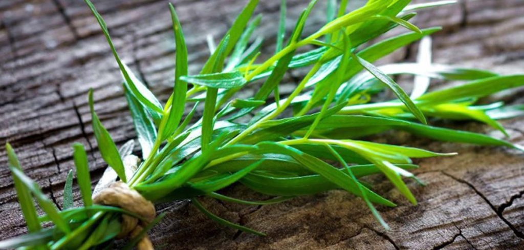 Ποιο είναι το βότανο των δράκων που βελτιώνει τον ύπνο και ανακουφίζει από τον πόνο