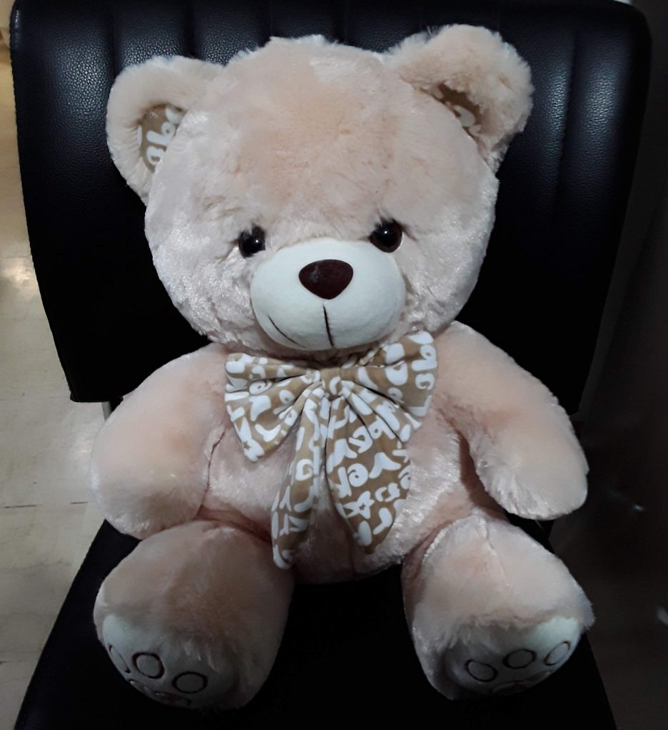 Φρίκη στις ΗΠΑ: Βρέθηκε λούτρινο αρκουδάκι «καλυμμένο» με ανθρώπινο δέρμα σε δρόμο της Καλιφόρνια (φωτο)