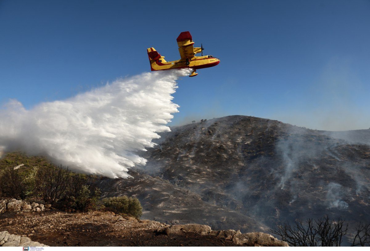 Κιλκίς: Φωτιά σε δασική έκταση στην περιοχή Λιθωτό