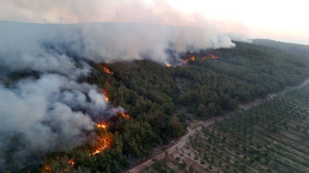 «Πύρινη κόλαση» στην Τουρκία: Εκκενώθηκαν επτά οικισμοί (βίντεο)
