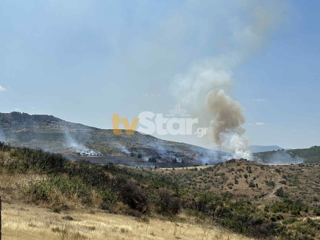 Φωτιά ξέσπασε κοντά στον ΧΥΤΑ Θήβας – Επιχειρούν εναέρια μέσα