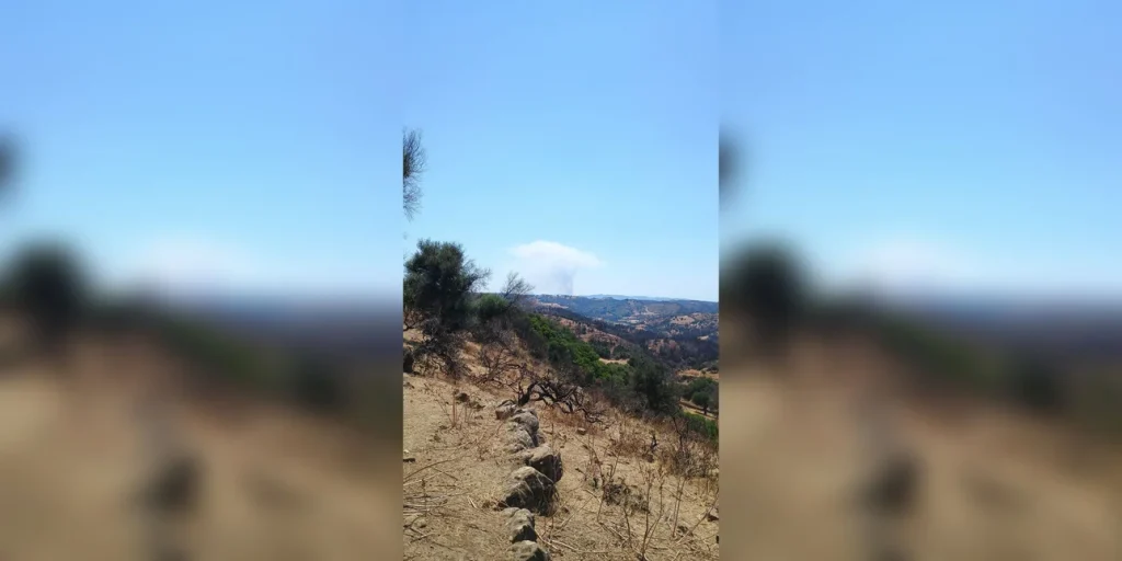 Αμαλιάδα: Καλύτερη η εικόνα της φωτιάς στο δάσος – Επιχειρούν επίγειες πυροσβεστικές δυνάμεις (upd)