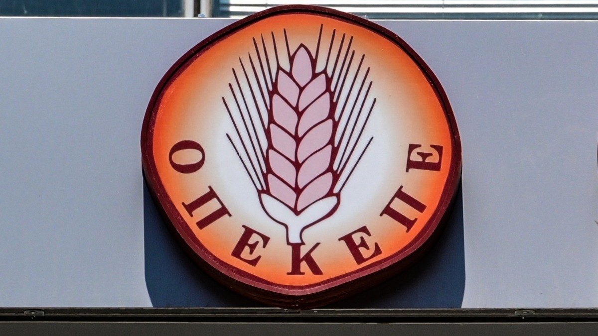 Σκάνδαλο ΟΠΕΚΕΠΕ: Ένοχοι οι 13 κατηγορούμενοι στην Φθιώτιδα – Τους επιβλήθηκαν ποινές φυλάκισης από 6 έως 40 μήνες