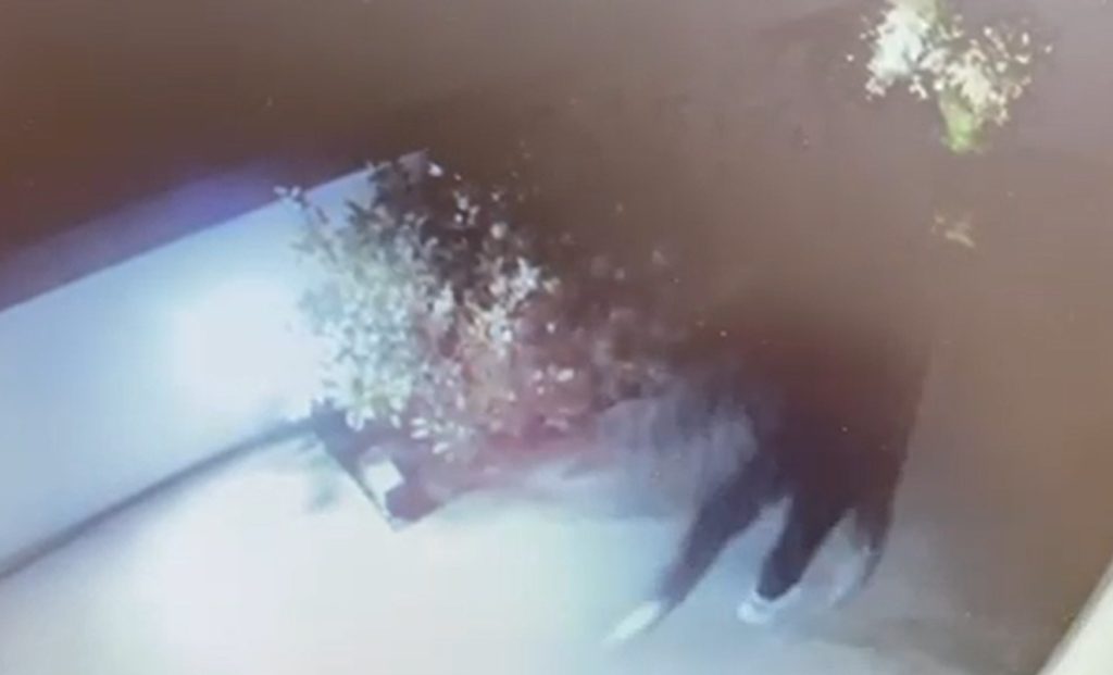 Βίντεο ντοκουμέντο από συμμορία Ρομά που «ξάφριζε» σπίτια σε Μέγαρα, Κορινθία και Αχαΐα – Δύο συλλήψεις