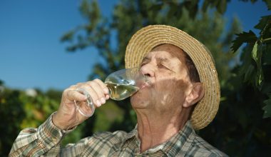 Σε ποια ηλικία πρέπει να κόψετε το αλκοόλ για να αποφύγετε την άνοια