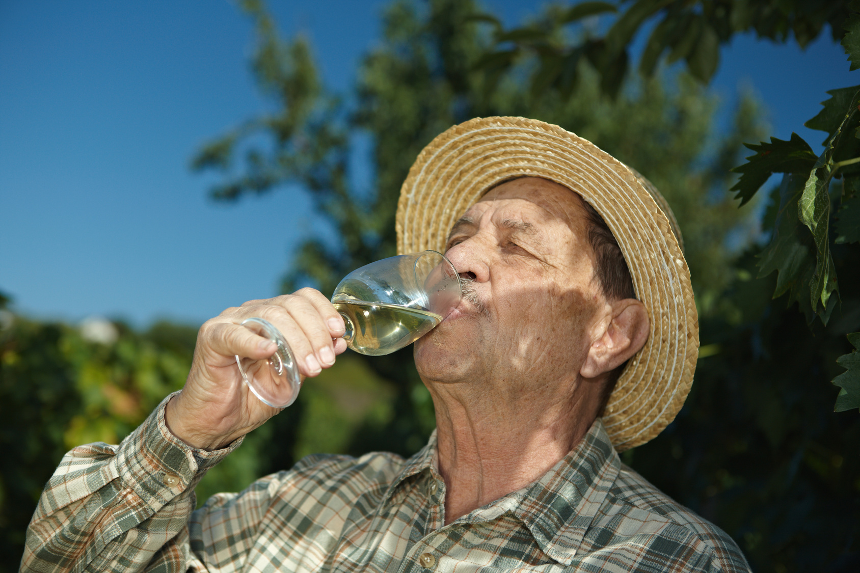 Σε ποια ηλικία πρέπει να κόψετε το αλκοόλ για να αποφύγετε την άνοια