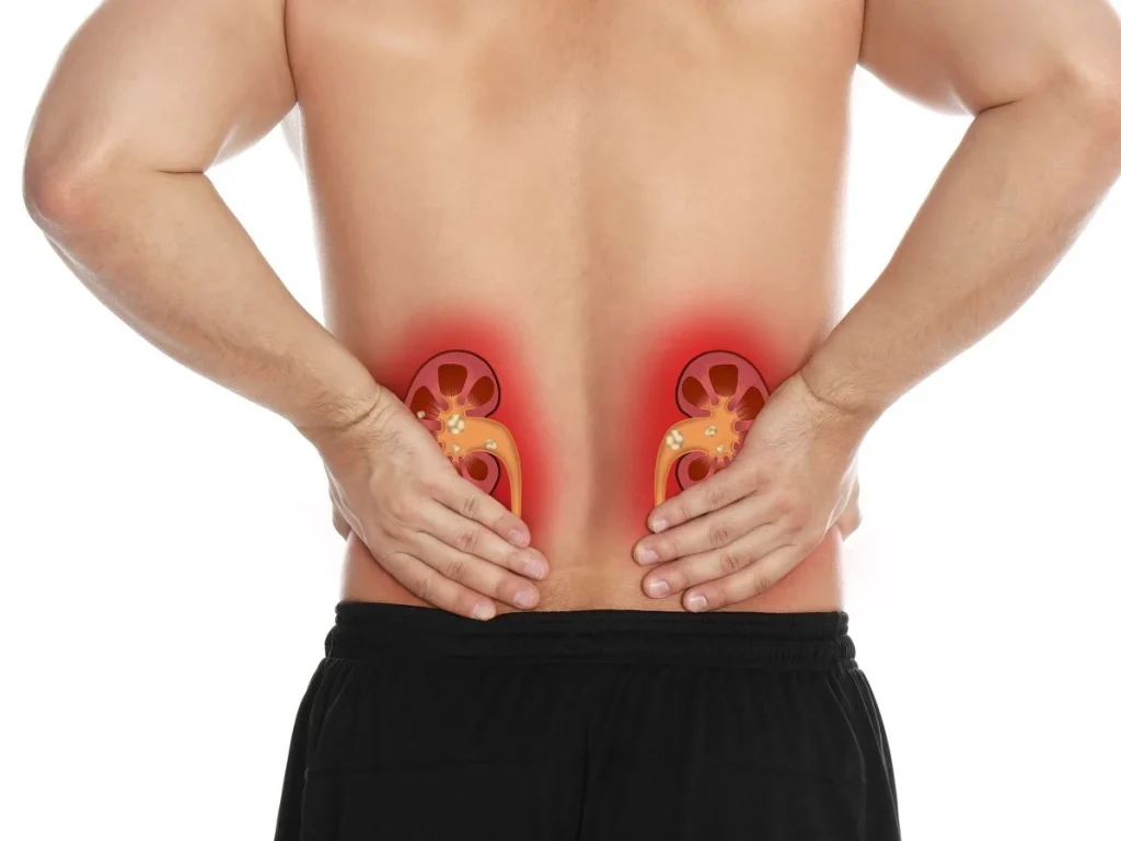 Γλυκαγόνη: Τι είναι και πώς επηρεάζει την υγεία των νεφρών