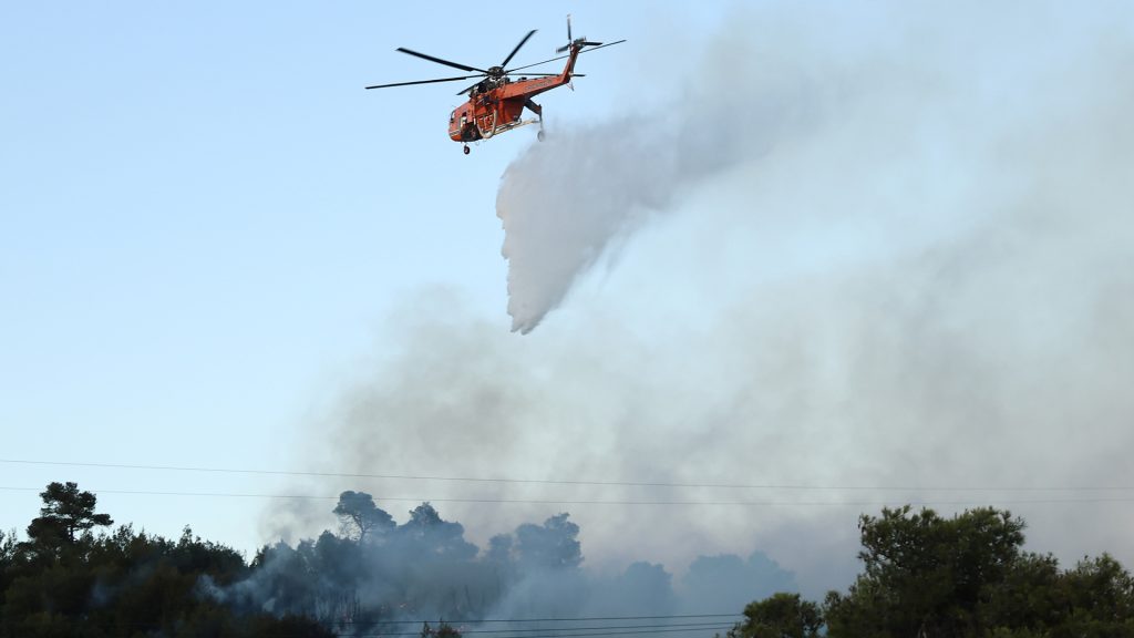 Μεσσηνία: Φωτιά στην περιοχή Αριοχώρι