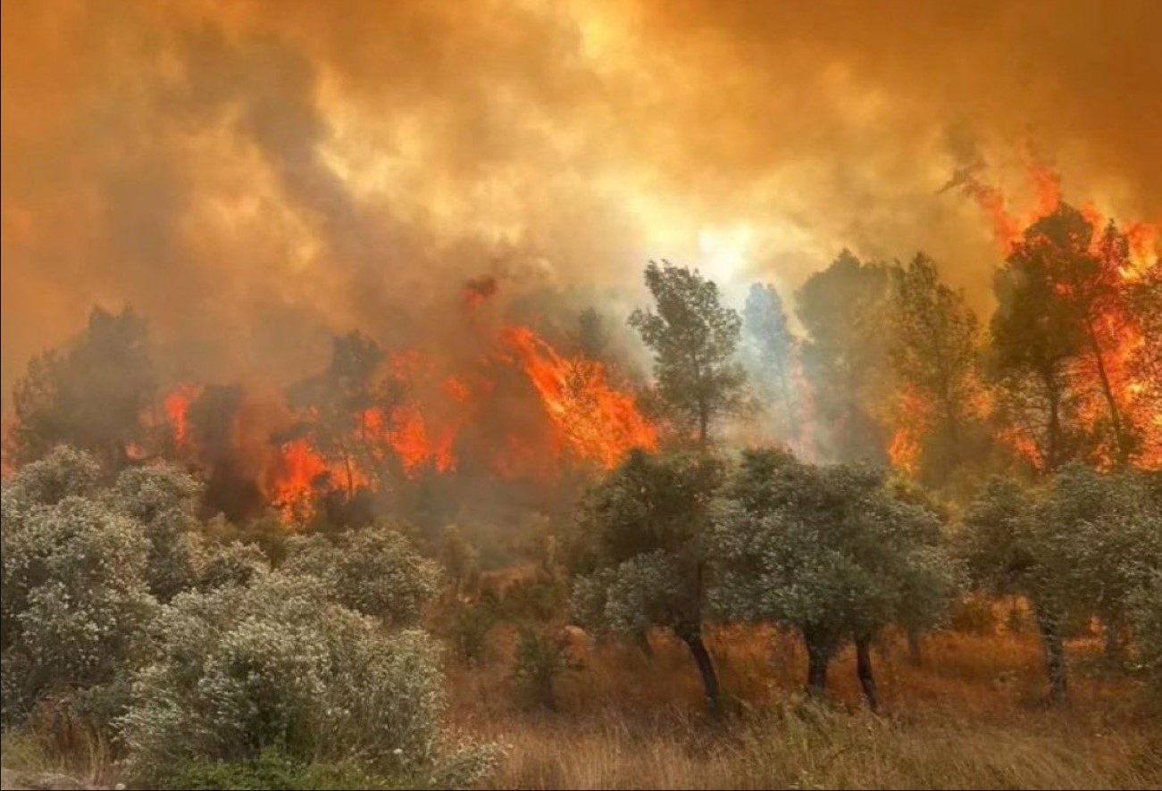 Τουρκία: Mεγάλη πυρκαγιά στην περιοχή Εσκίσεχιρ – Νεκροί 11 δασοφύλακες