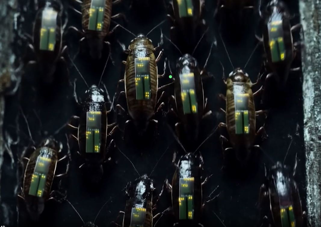 Κατσαρίδες-κατάσκοποι και ρομπότ ΑΙ: Το νέο σχέδιο της Γερμανίας για την άμυνα