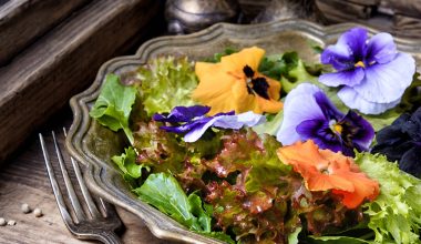 Το βρώσιμο λουλούδι που βοηθά στην πέψη, θωρακίζει το ήπαρ και αποτελεί ιδανική τροφή για την εγκυμοσύνη