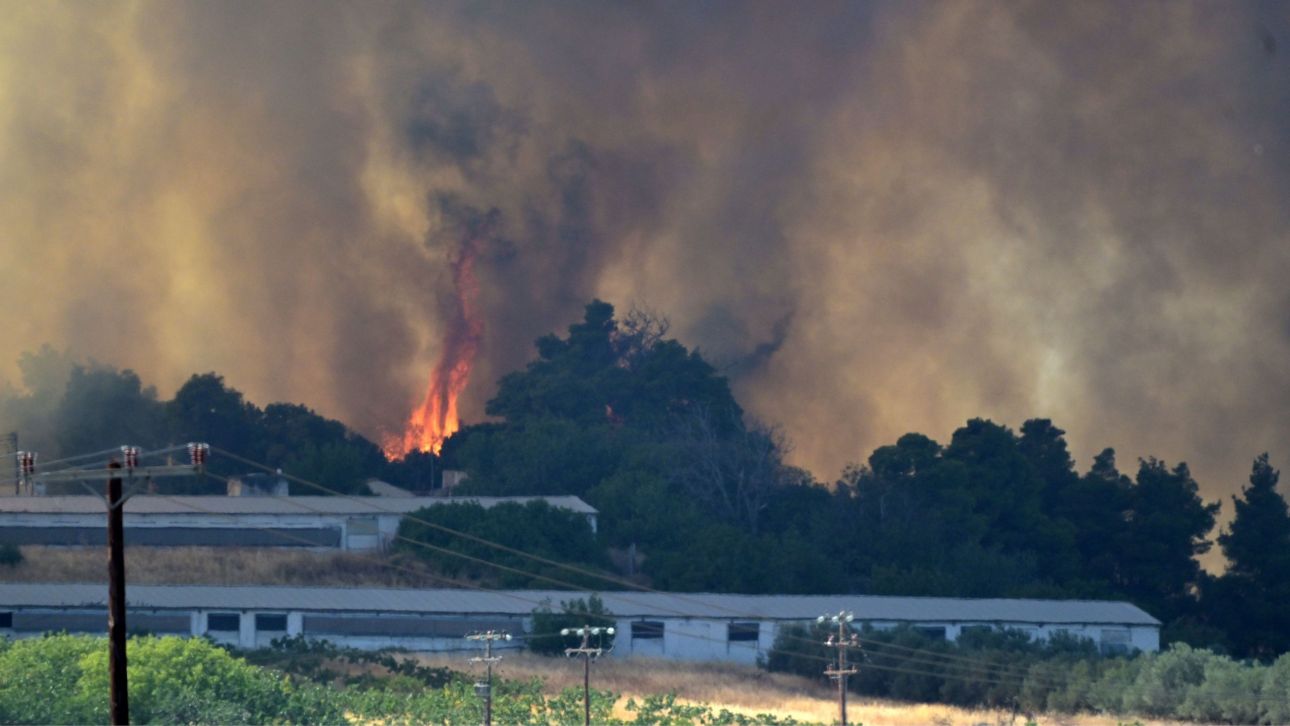 Πύρινος εφιάλτης στην Εύβοια: Σε απόσταση «αναπνοής» από τη Χαλκίδα η φωτιά