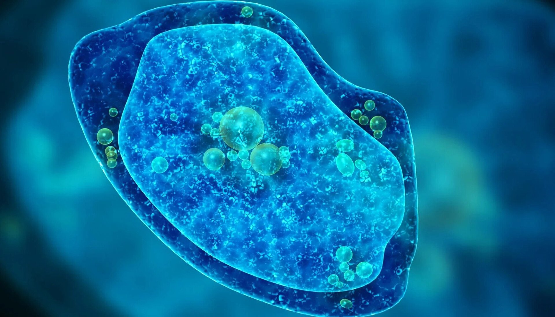 Νότια Καρολίνα: Παιδί έχασε τη ζωή του από την αμοιβάδα που «τρώει» τον εγκέφαλο