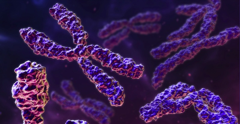 Ιαπωνία: Επιστήμονες αφαίρεσαν για πρώτη φορά ένα επιπλέον χρωμόσωμα από άτομα με σύνδρομο Down