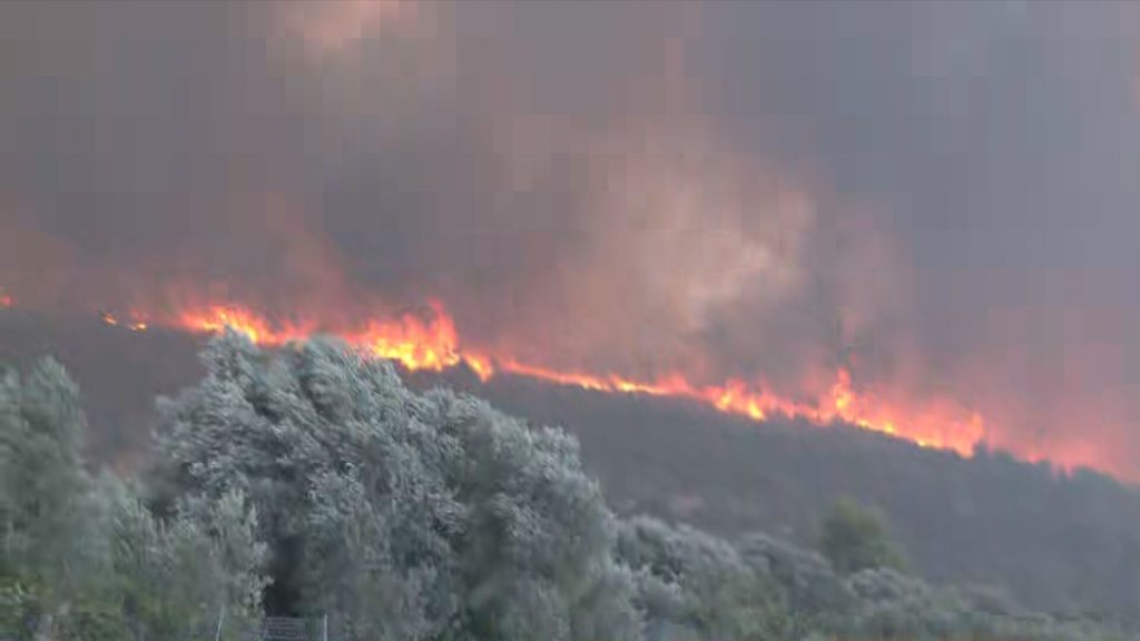Τις ακτές της Αφρικής πλησιάζουν οι καπνοί από τη μεγάλη φωτιά στα Κύθηρα: Δείτε βίντεο από δορυφόρο