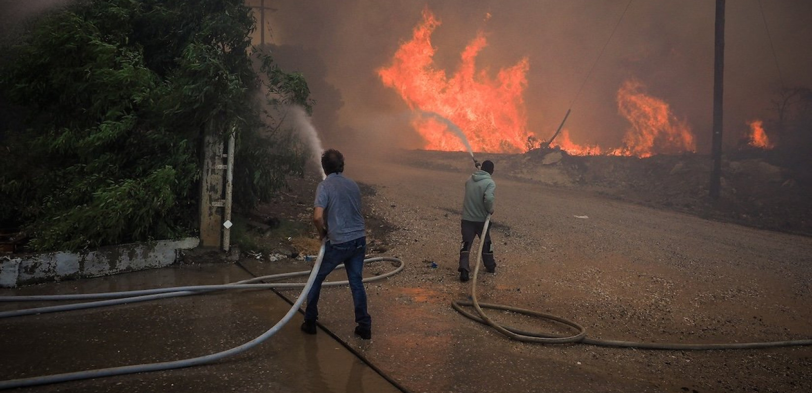 Φωτιά στην Εύβοια: Η στιγμή που σκυλιά τρέχουν για να σωθούν από την πύρινη λαίλαπα (βίντεο)
