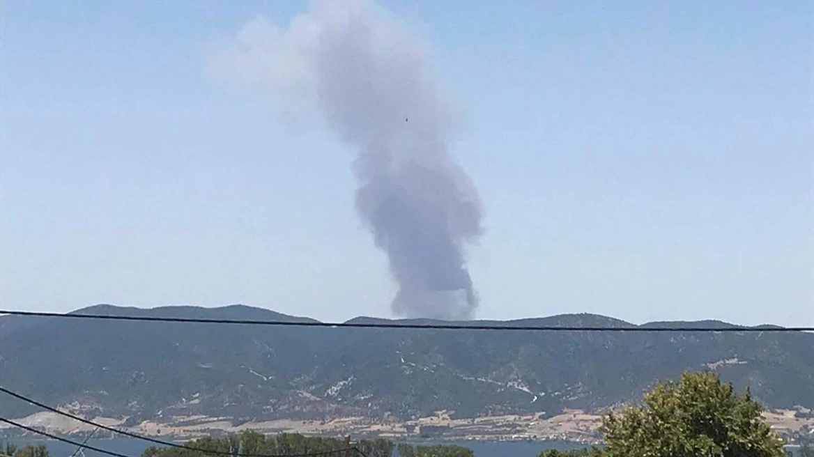 Φωτιά σε περιοχή του δήμου Βόλβης στη Θεσσαλονίκη – Στο σημείο σπεύδουν δυνάμεις της Πυροσβεστικής