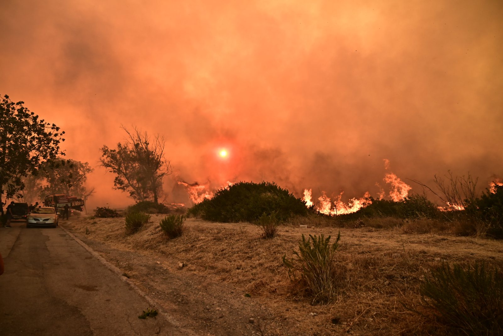 Εύβοια: Το χρονικό της μεγάλης φωτιάς μέσα από timelapse βίντεο