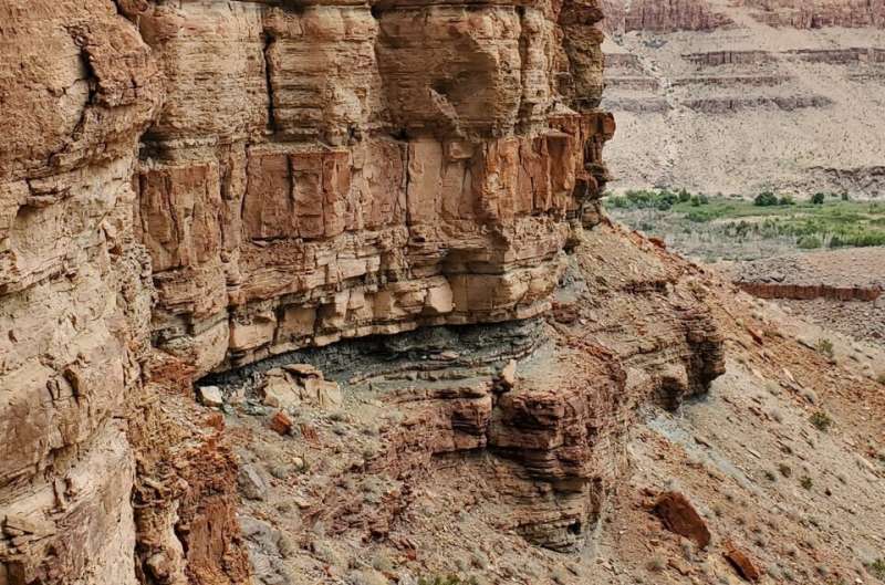 Η ανακάλυψη στο Γκραντ Κάνυον που αιφνιδίασε τους επιστήμονες: Εντοπίστηκε αρχαίο σκουλήκι 500 εκατομμυρίων ετών