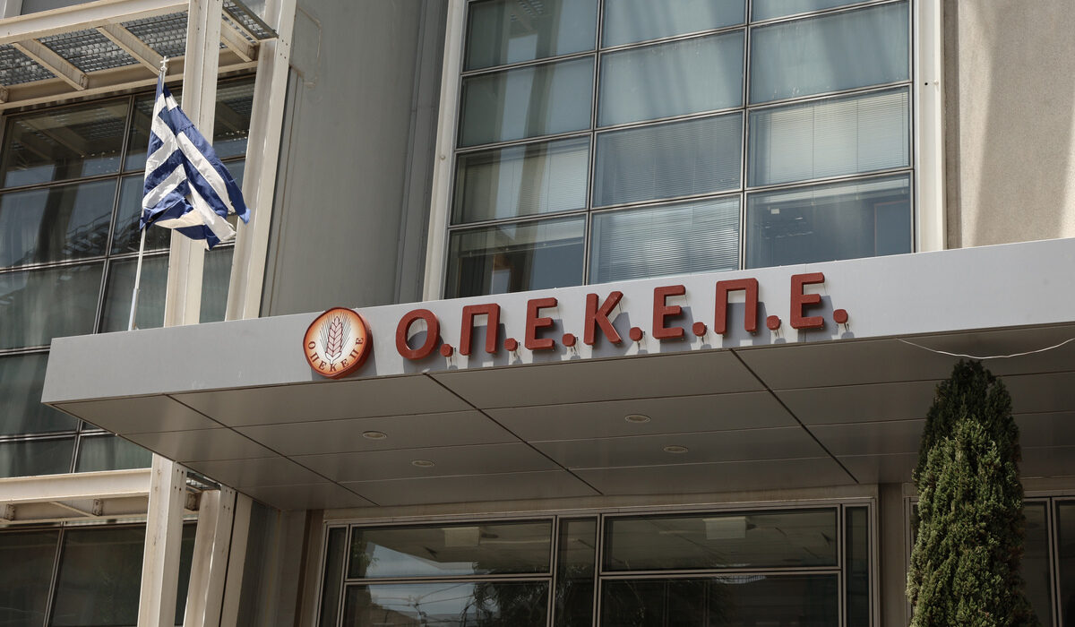 Πρώην αντιπρόεδρος ΟΠΕΚΕΠΕ: «Να πληρώσουν οι πραγματικοί ένοχοι»