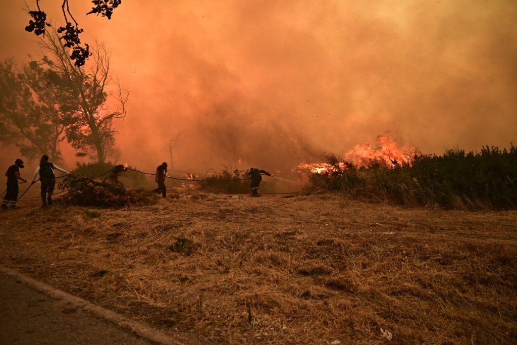 Πρέβεζα: Μεγάλη φωτιά σε δασική έκταση στην περιοχή Νέα Σαμψούντα