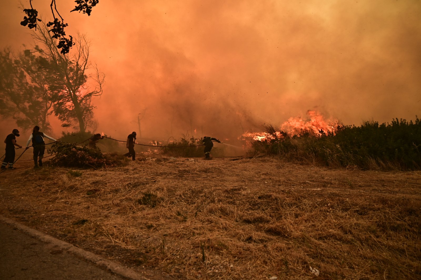 Πρέβεζα: Μεγάλη φωτιά σε δασική έκταση στην περιοχή Νέα Σαμψούντα