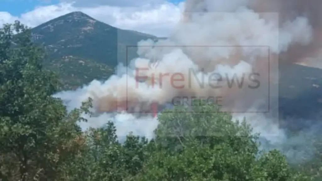 Φωτιά στη Δεσκάτη Γρεβενών – Εκκενώθηκε κατασκήνωση με 55 παιδιά