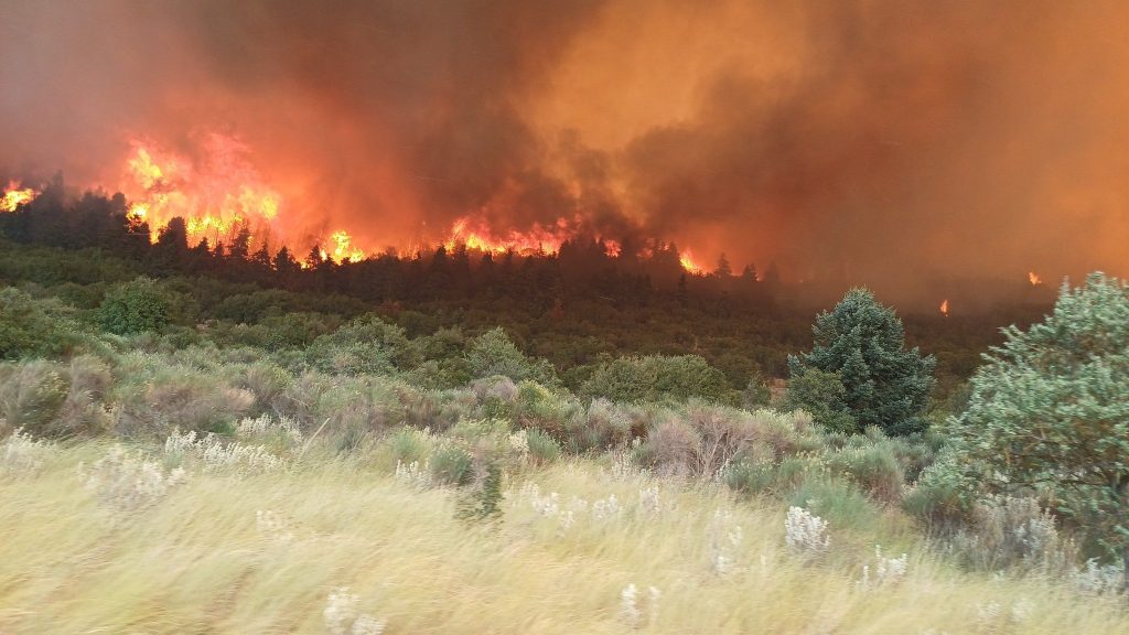 «Υψηλός» ο κίνδυνος πυρκαγιάς σήμερα σε αυτές τις περιοχές της χώρας
