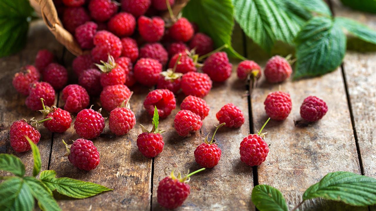 Σμέουρα: Τα οφέλη που έχει το πιο υγιεινό καλοκαιρινό φρούτο