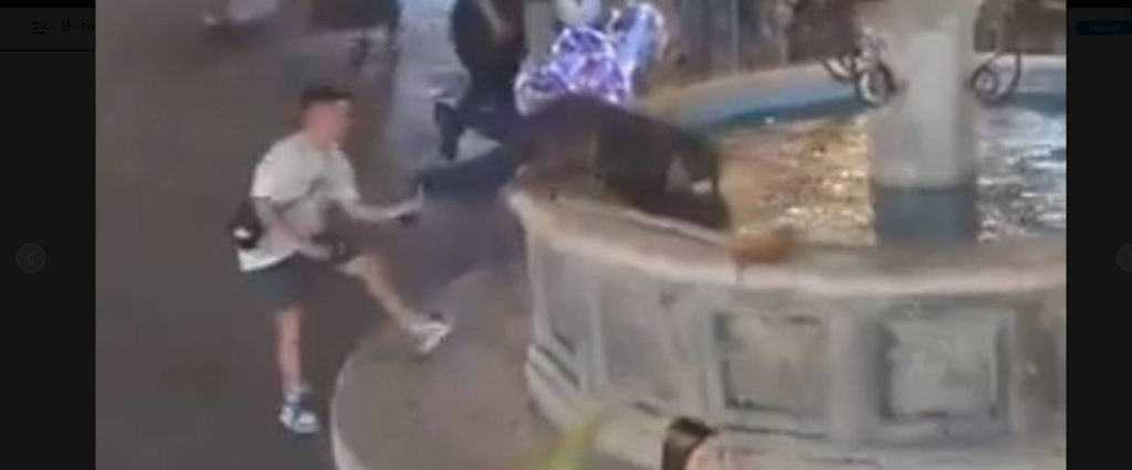 Εισαγγελική παρέμβαση για τον εντοπισμό του άνδρα που έριξε άστεγο στο σιντριβάνι στη Ρόδο (βίντεο)
