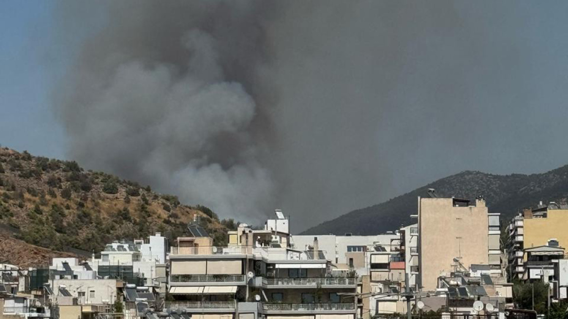 Φωτιά στον Υμηττό: Κοντά σε αδήλωτα μελίσσια εντοπίστηκε η εστία της πυρκαγιάς – Πρόστιμο και στον πρύτανη του ΕΚΠΑ