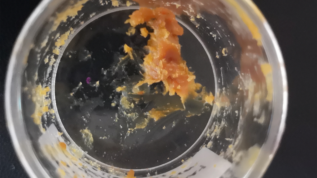 Πομπηία: Ταυτοποιήθηκε η μυστηριώδης ουσία που αποτέλεσε «σύμβολο αθανασίας» πριν από 2.500 χρόνια (φωτο)