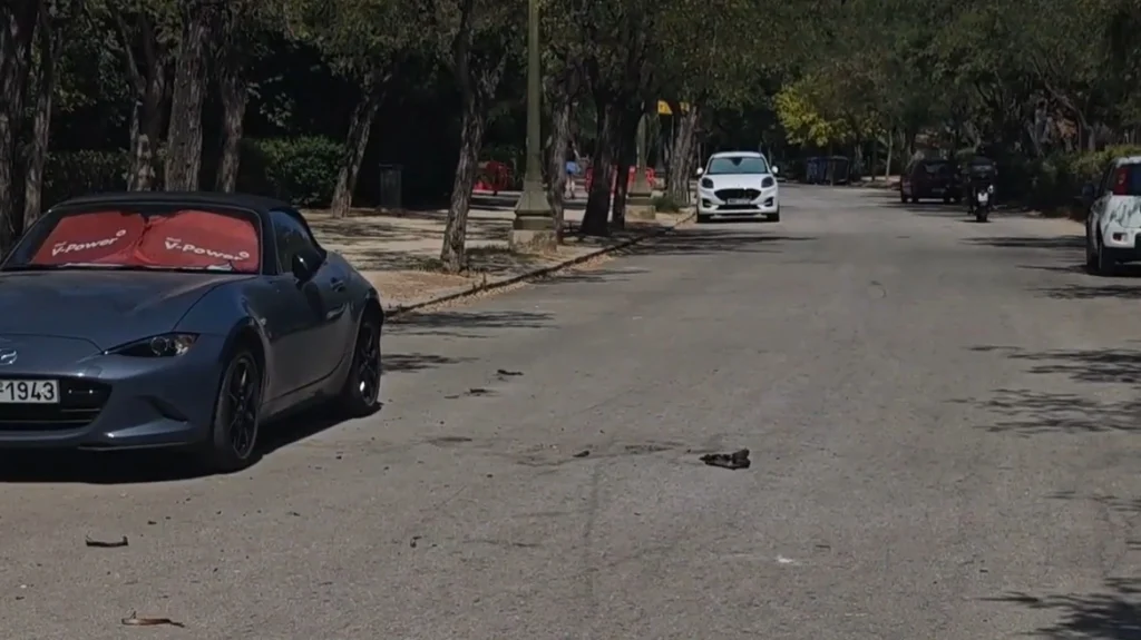 «Έφυγε» από τη ζωή η 67χρονη που αυτοπυρπολήθηκε στο Ζάππειο – Ήταν δημοσιογράφος