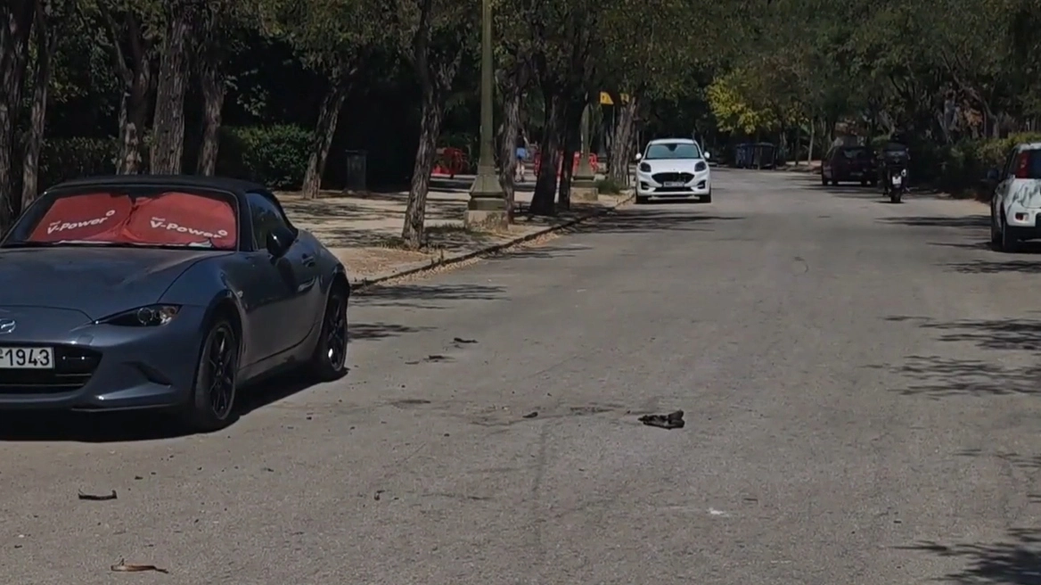 «Έφυγε» από τη ζωή η 67χρονη που αυτοπυρπολήθηκε στο Ζάππειο – Ήταν δημοσιογράφος