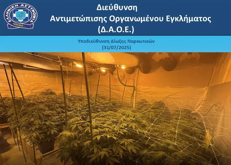 Στο φως υδροπονική καλλιέργεια δενδρυλλίων κάνναβης στην Κερατέα – Πέντε συλλήψεις (φωτο-βίντεο)