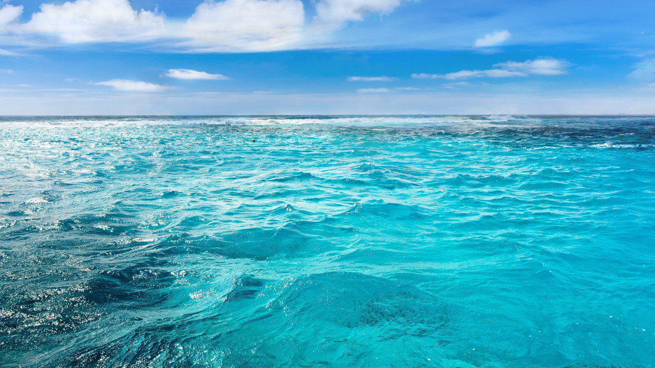 Κινέζοι ερευνητές ανακάλυψαν την ύπαρξη ζωής σε βάθος άνω των 10.000 μέτρων κάτω από την επιφάνεια του ωκεανού!