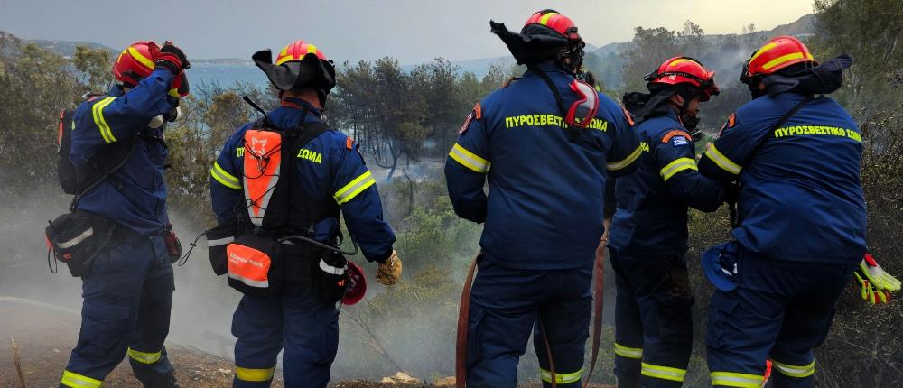 Συνελήφθη 77χρονος για ύποπτες εργασίες κοντά σε δασική περιοχή της Αρτέμιδας