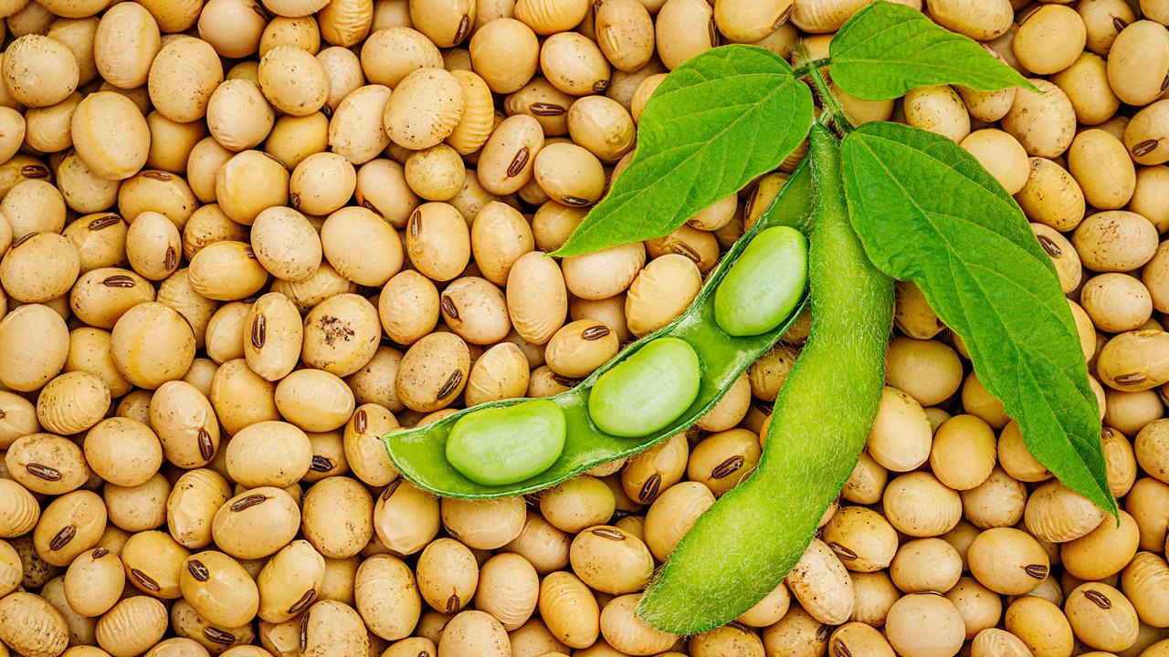Οι μεγαλύτεροι «μύθοι» για την σόγια – Oι λόγοι που πρέπει να την προσθέσεις στη διατροφή σου