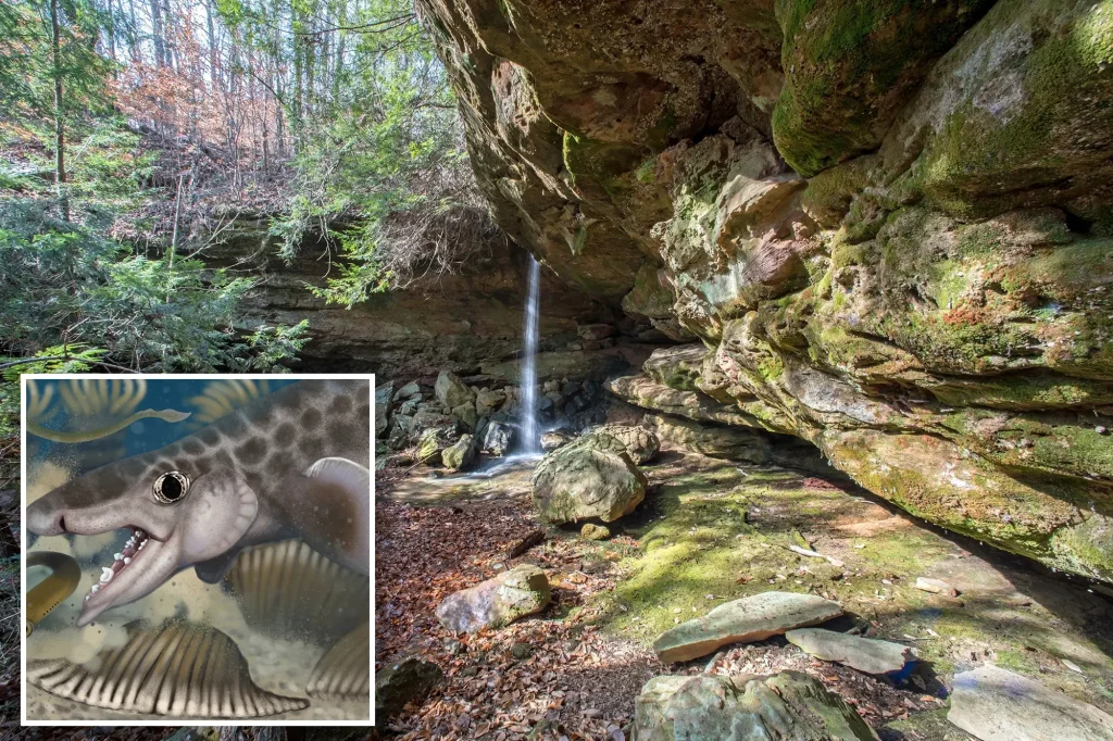 Νέο είδος μικροσκοπικού καρχαρία ανακαλύφθηκε σε τεράστιο σπηλαιοσύστημα