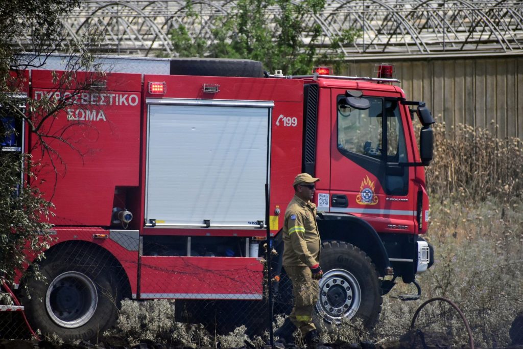 Ημαθία: Φωτιά σε δασική έκταση στην περιοχή Μικρά Σάντα