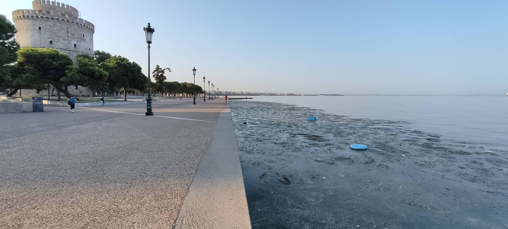 Θεσσαλονίκη: Νεκρά ποντίκια επιπλέουν στα νερά του Θερμαϊκού – Δείτε βίντεο