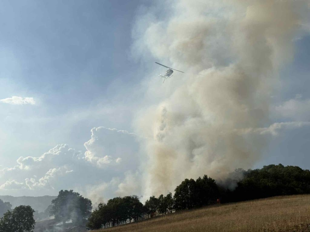 Τεράστια δύναμη της Πυροσβεστικής οριοθέτησε την πυρκαγιά στην Καλαμπάκα – Δείτε φωτογραφίες