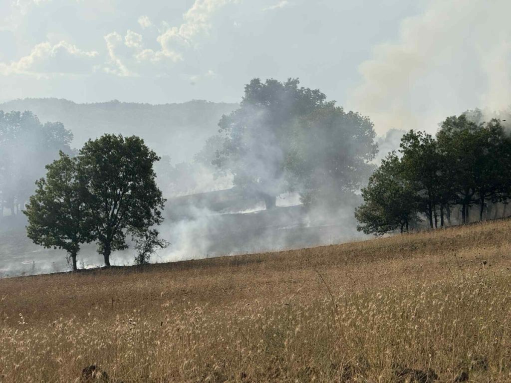 Λέσβος: Ένοχος για εμπρησμό από αμέλεια ένας 20χρονος