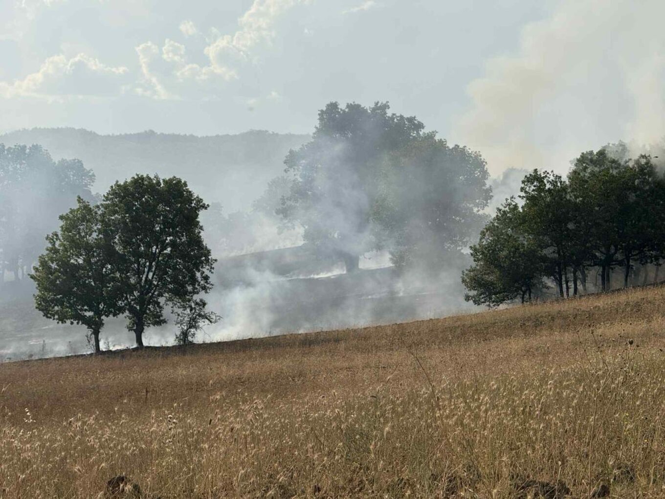 Λέσβος: Ένοχος για εμπρησμό από αμέλεια ένας 20χρονος
