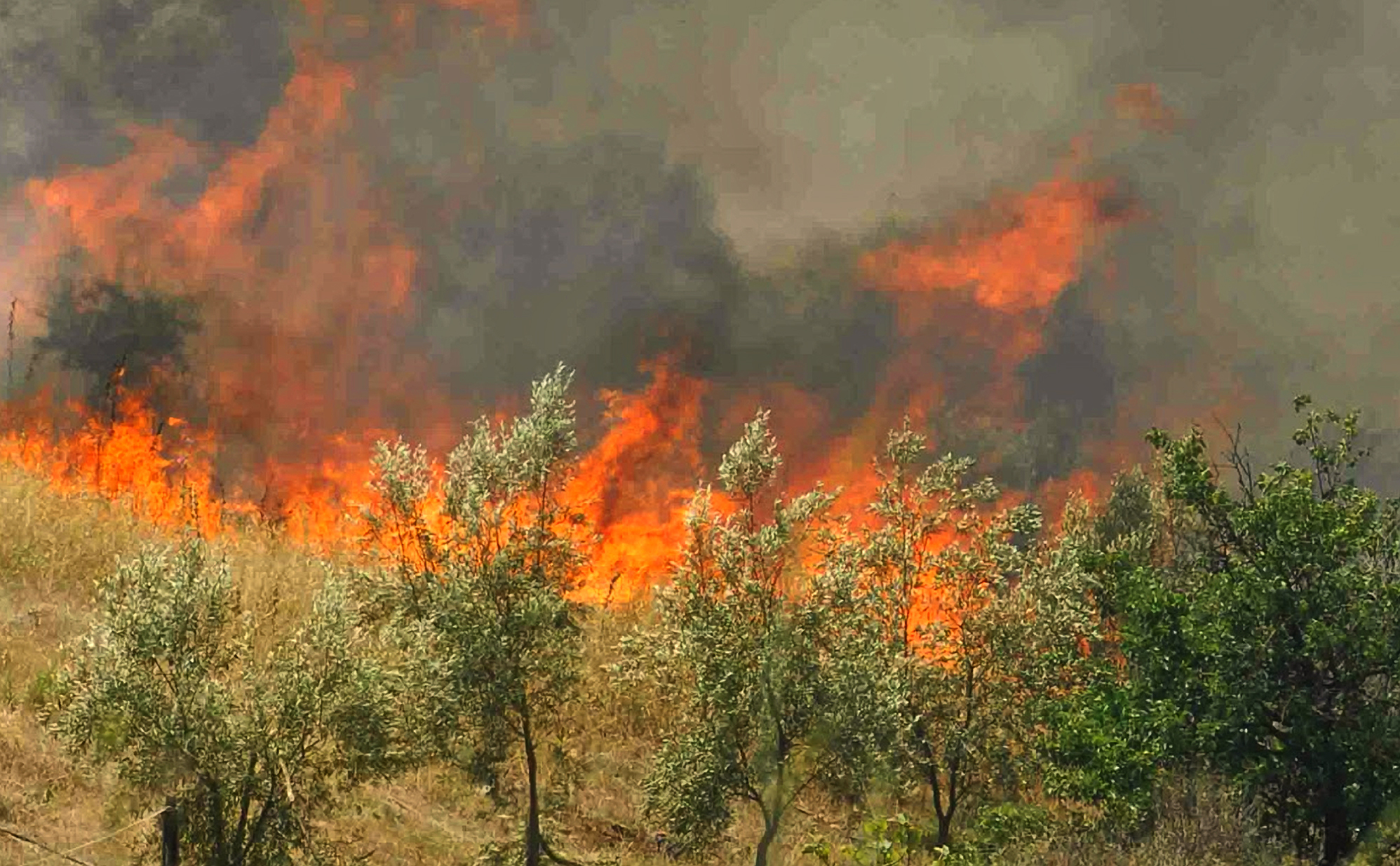 Φωτιά ξέσπασε κοντά στην Τρίπολη – Η Πυροσβεστική ανταποκρίθηκε άμεσα